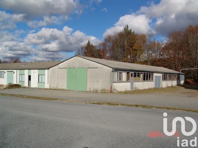 /international/fr/peyrelevade-limousin-310097961296/