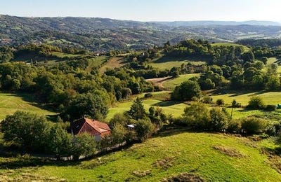 /international/fr/aubin-midi-pyrenees-310105762779/