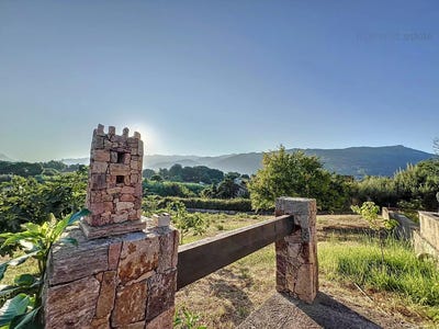 /international/fr/sarrola-carcopino-corsica-310100578288/