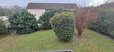 /international/fr/vivier-au-court-ardennes-310106827305/