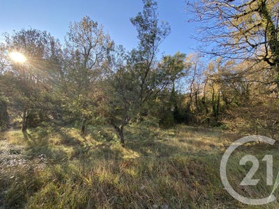 /international/fr/valbonne-provence-alpes-cote-d-azur-310102399250/