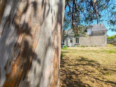 /international/fr/la-fleche-pays-de-la-loire-310100363594/