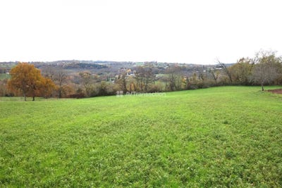 /international/fr/badefols-d-ans-aquitaine-310105832470/