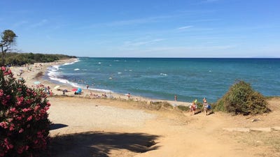 /international/fr/linguizzetta-corsica-310104100338/