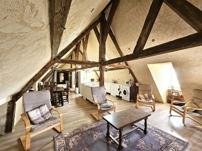 /international/fr/couleuvre-auvergne-310109241576/