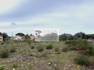 /international/fr/ghisonaccia-corsica-310103763586/