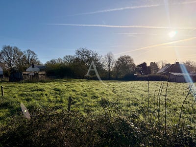 /international/fr/jans-pays-de-la-loire-310106515400/