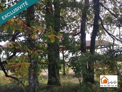 /international/fr/demu-midi-pyrenees-310108995466/