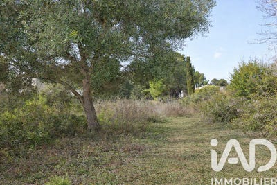 /international/fr/poussan-languedoc-roussillon-310106409092/