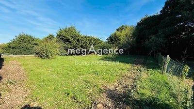/international/fr/l-ile-d-yeu-pays-de-la-loire-310107331634/