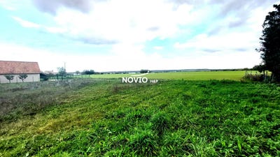 /international/fr/naintre-charente-310109867315/