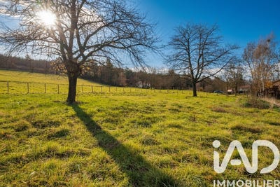 /international/fr/saint-clair-sur-galaure-rhone-310104179721/