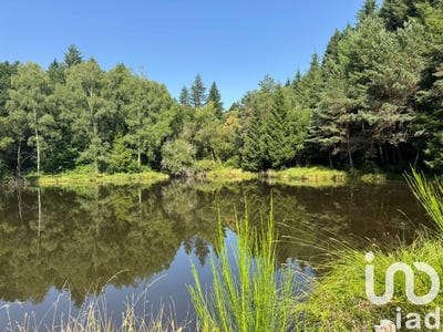 /international/fr/nieul-charente-310100273852/