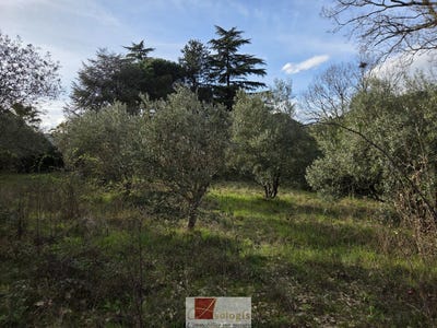 /international/fr/ganges-languedoc-roussillon-310108596350/
