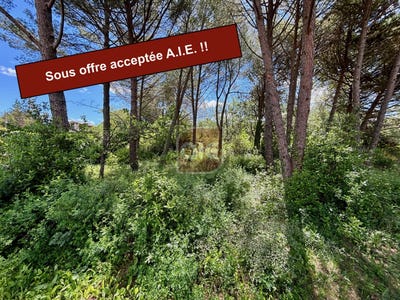 /international/fr/prades-le-lez-languedoc-roussillon-120093189166/