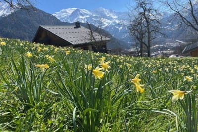 /international/fr/servoz-rhone-310107191477/