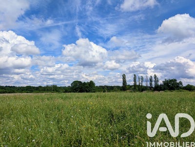 /international/fr/saint-remy-midi-pyrenees-310108048056/