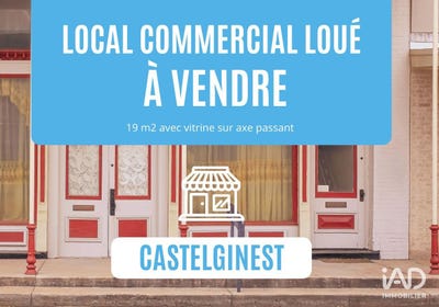 /international/fr/castelginest-midi-pyrenees-310107766125/