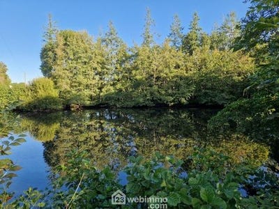 /international/fr/nieul-le-dolent-pays-de-la-loire-310104043515/