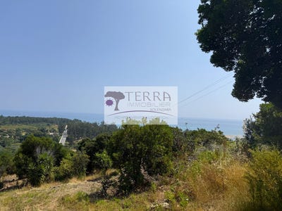 /international/fr/sari-solenzara-corsica-310103464329/
