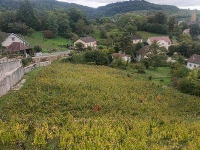 /international/fr/arbois-franche-comte-310108530009/