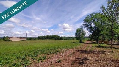 /international/fr/caillac-midi-pyrenees-310108927730/