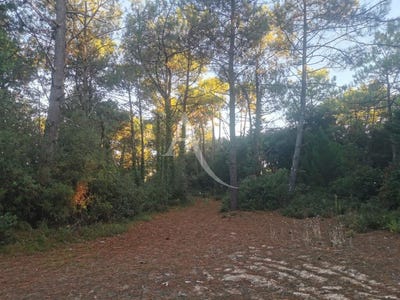 /international/fr/saint-jean-de-monts-pays-de-la-loire-310108270435/
