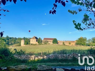 /international/fr/la-vineuse-burgundy-310101015176/?lang=en