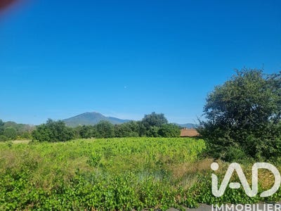 /international/fr/saint-jean-pla-de-corts-languedoc-roussillon-310108775929/
