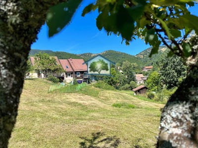/international/fr/bourbach-le-haut-alsace-310107023950/