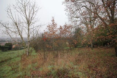 /international/fr/albi-midi-pyrenees-310104508706/
