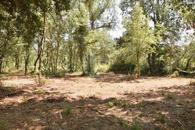 /international/fr/maraussan-languedoc-roussillon-310106295624/