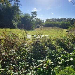 /international/fr/mayenne-pays-de-la-loire-310102967362/