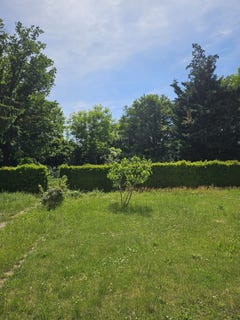 /international/fr/lutterbach-alsace-310108262601/