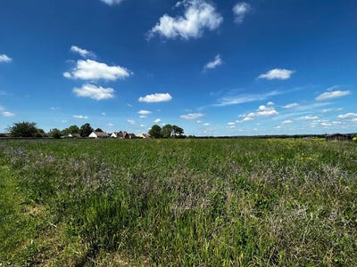 /international/fr/septeuil-ile-de-france-310103429554/