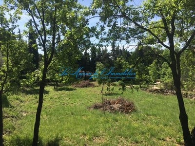 /international/fr/generargues-languedoc-roussillon-310099949987/