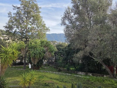 /international/fr/afa-corsica-310105031618/