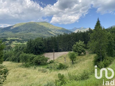 /international/fr/rabou-provence-alpes-cote-d-azur-310099842715/