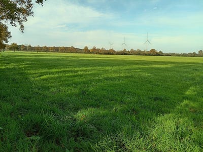 /international/fr/riaille-pays-de-la-loire-310119477779/