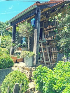 /international/fr/meuzac-limousin-310108974431/