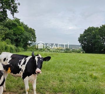 /international/fr/saint-calais-du-desert-pays-de-la-loire-310108869251/