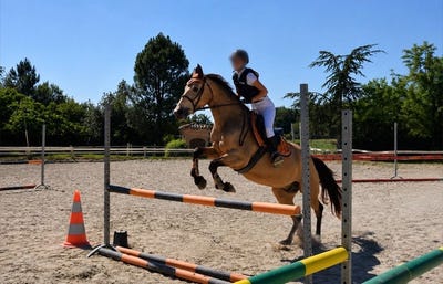 /international/fr/beaumont-sur-leze-midi-pyrenees-310109763167/
