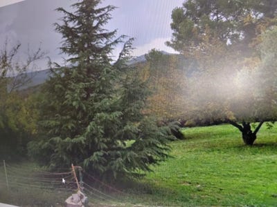 /international/fr/rousson-centre-val-de-loire-310105813449/