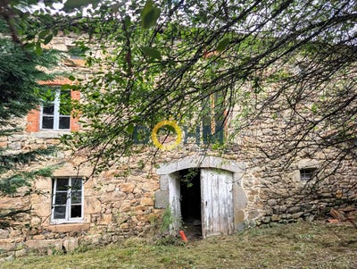/international/fr/monlet-auvergne-310102296166/