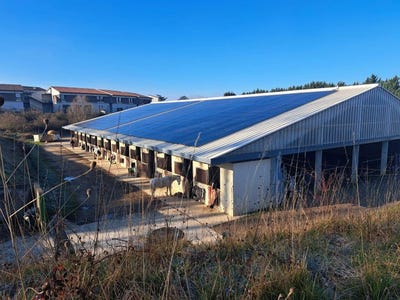 /international/fr/la-reole-aquitaine-310101135265/
