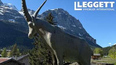 /international/fr/pralognan-la-vanoise-rhone-310102122321/