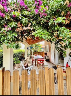 /international/fr/taglio-isolaccio-corsica-310098877129/