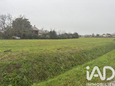 /international/fr/barry-d-islemade-midi-pyrenees-310104113772/
