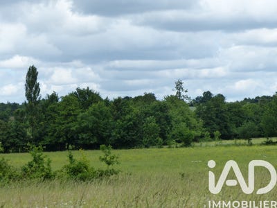 /international/fr/sainte-cecile-pays-de-la-loire-310105247459/