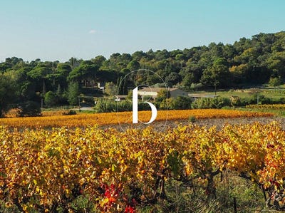 /international/fr/goudargues-languedoc-roussillon-310105342201/